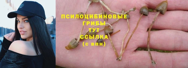 крисы Беломорск