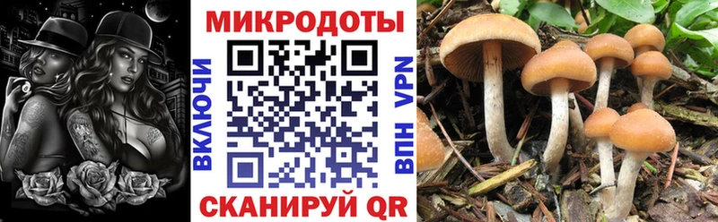 где можно купить наркотик  Салаир  Галлюциногенные грибы ЛСД 